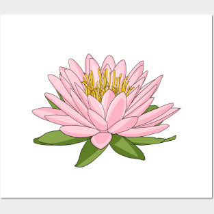 Pink lotus flower blooming Posters and Art